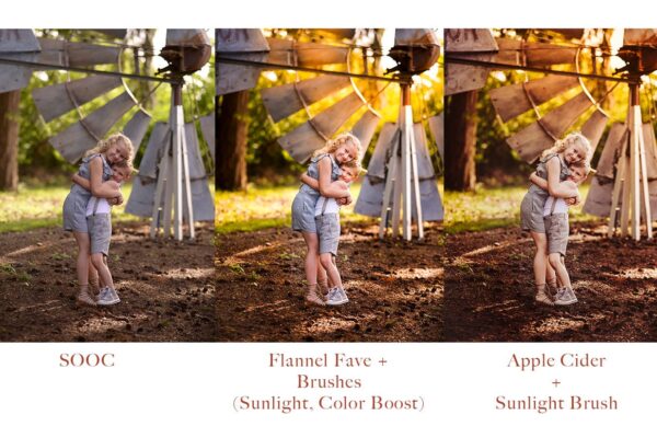 Autumn Dream Preset Collection - Image 9