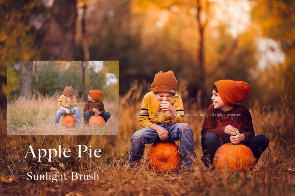 Autumn Dream Preset Collection - Image 5