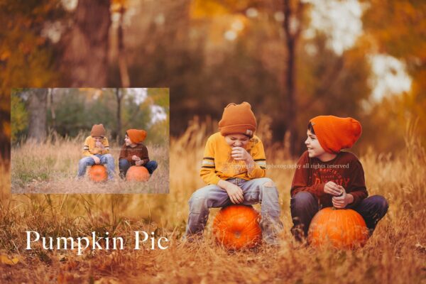Autumn Dream Preset Collection - Image 4