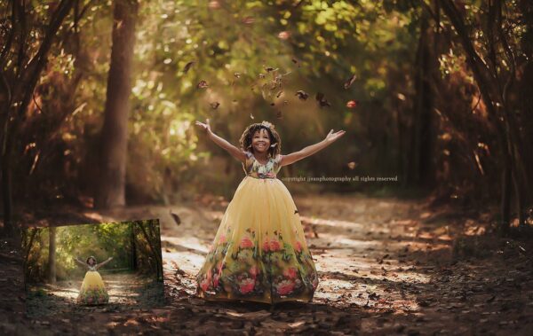 Autumn Dream Preset Collection - Image 8