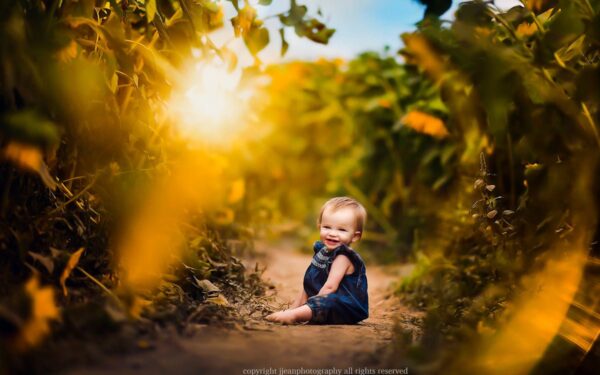 Creative Editing In Lightroom - Image 6