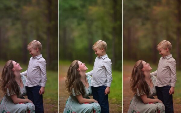 Lightroom Workflow Presets - Image 7