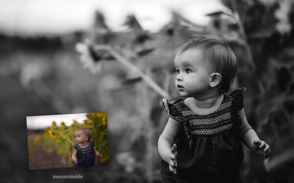 The Creative Edge Presets - Image 6